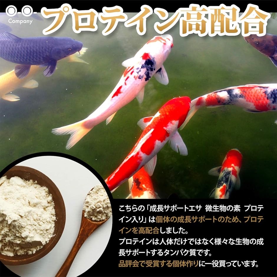 針子の餌 微生物の素 エサタイプ メダカ 稚魚の餌 10g MDM｜horikku｜04