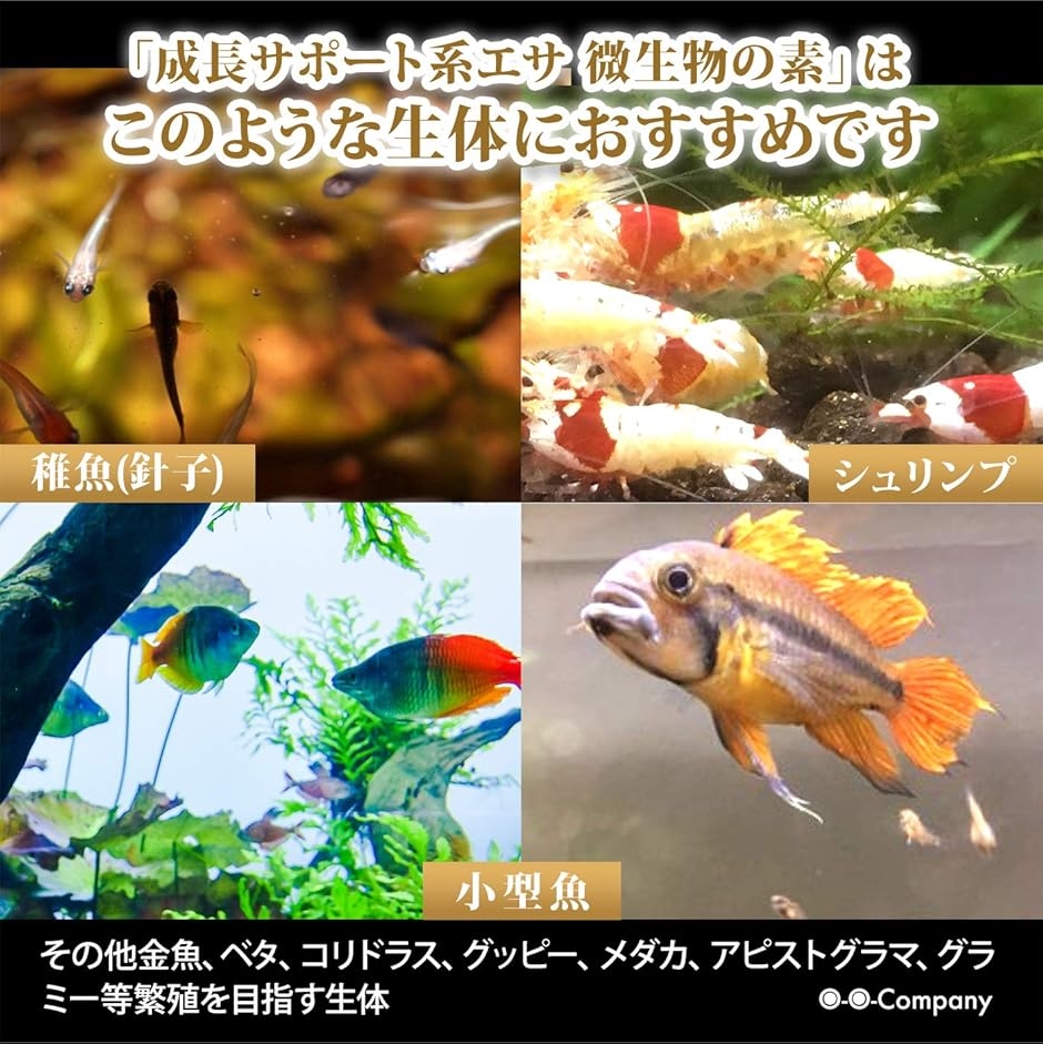 針子の餌 微生物の素 エサタイプ メダカ 稚魚の餌 10g MDM｜horikku｜05