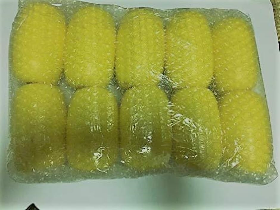 ポリフロート 10個 船具 定置網 浮子 浮き ブイ フェンダー 漁業 アンカー浮 ウキ タモ 釣り道具 :2B8YY6S6GC:スピード発送 ...