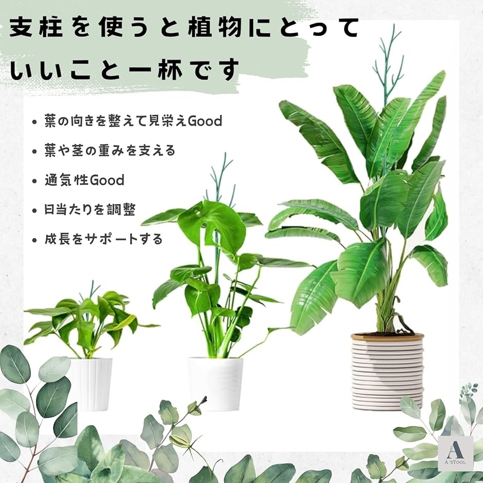 支柱 観葉植物 園芸 2本セット 添え木 支え イボ竹 観葉植物の支柱