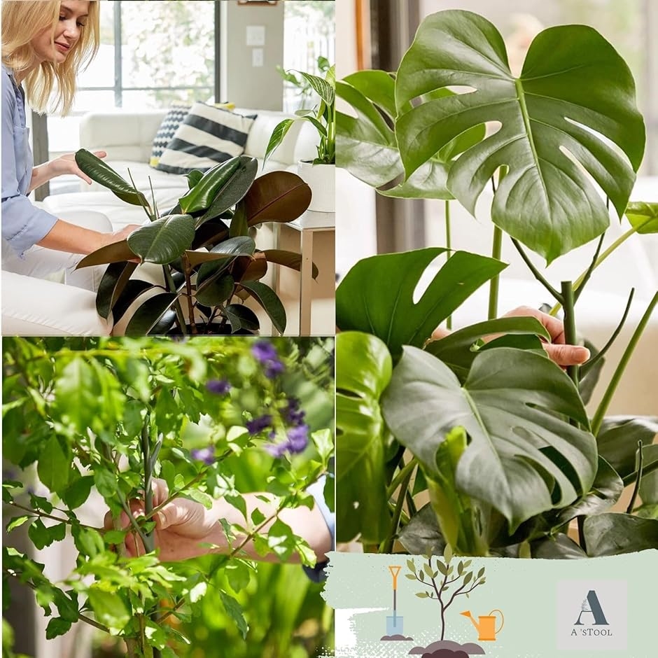 支柱 観葉植物 園芸 2本セット 添え木 支え イボ竹 観葉植物の支柱