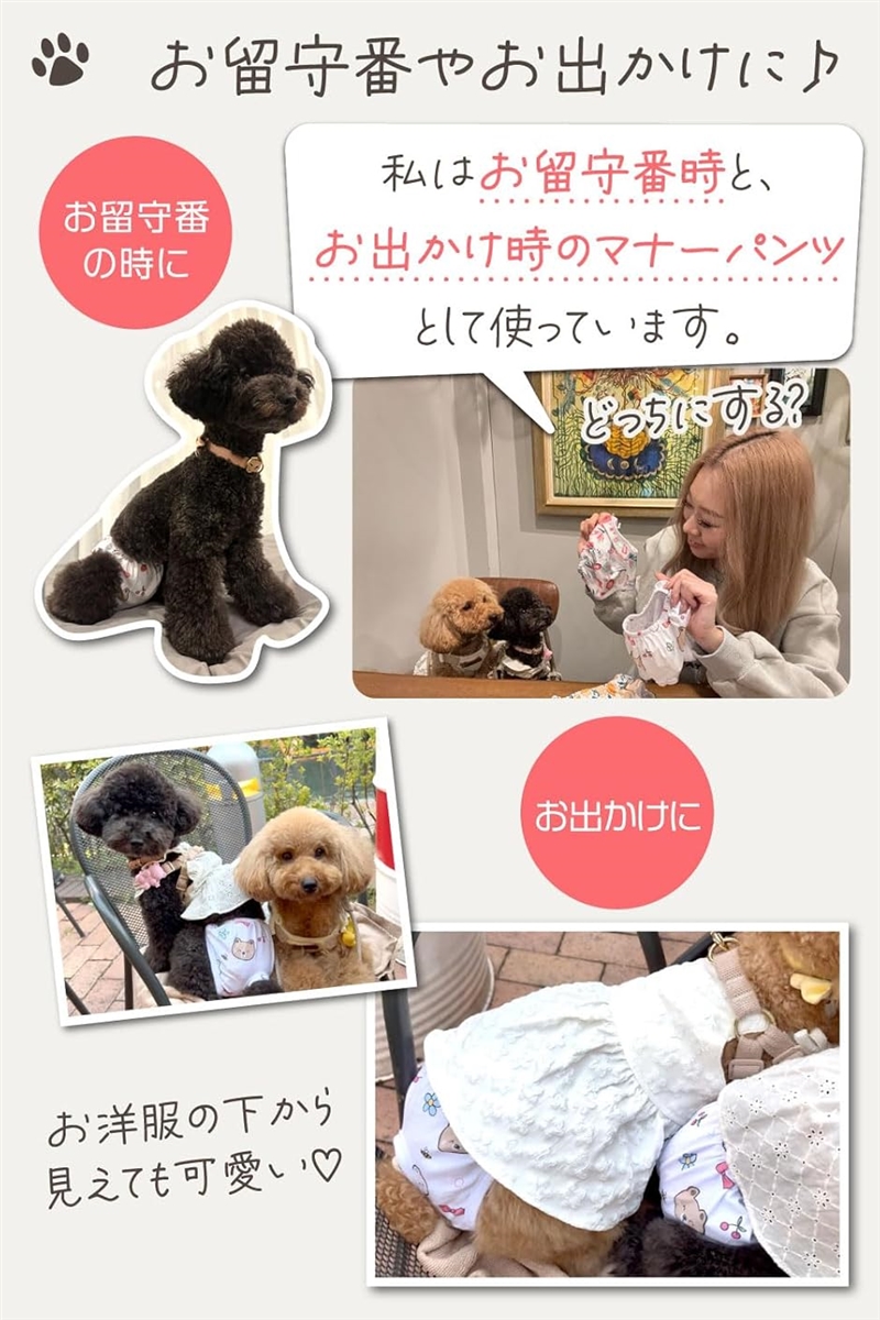 わんこのおむつカバー 小型犬の女の子用トイプー2匹の愛犬家監修3枚