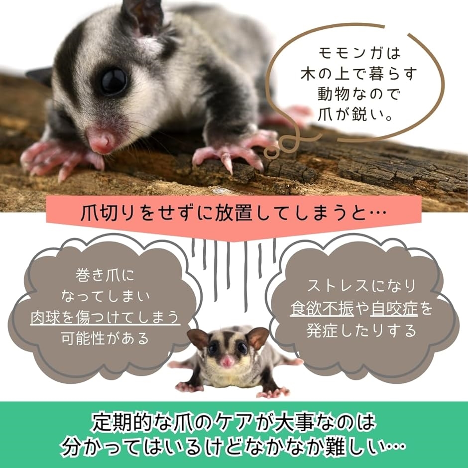 モモンガ 爪とぎ ケージ フクロモモンガ おもちゃ 小動物 TY型 バー