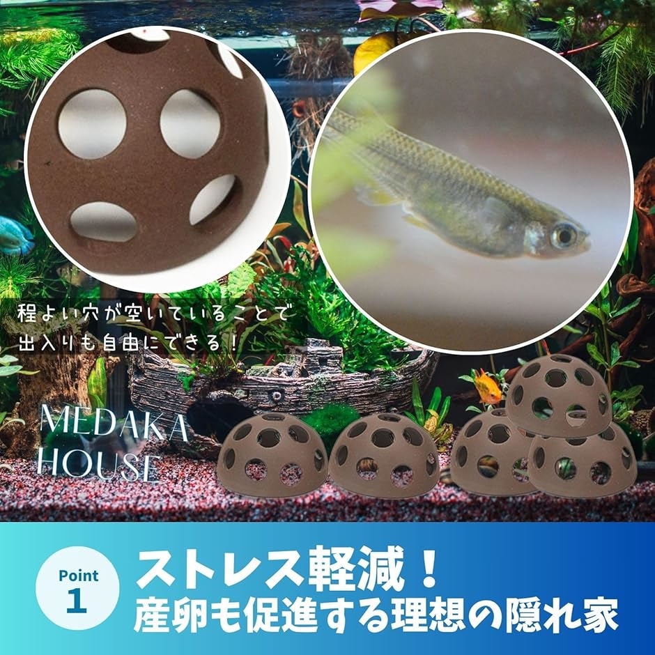 ミナミヌマエビ セットのおすすめ人気商品一覧 通販 - Yahoo