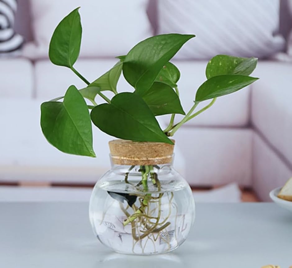 花瓶 流木の人気商品・通販・価格比較 - 価格.com