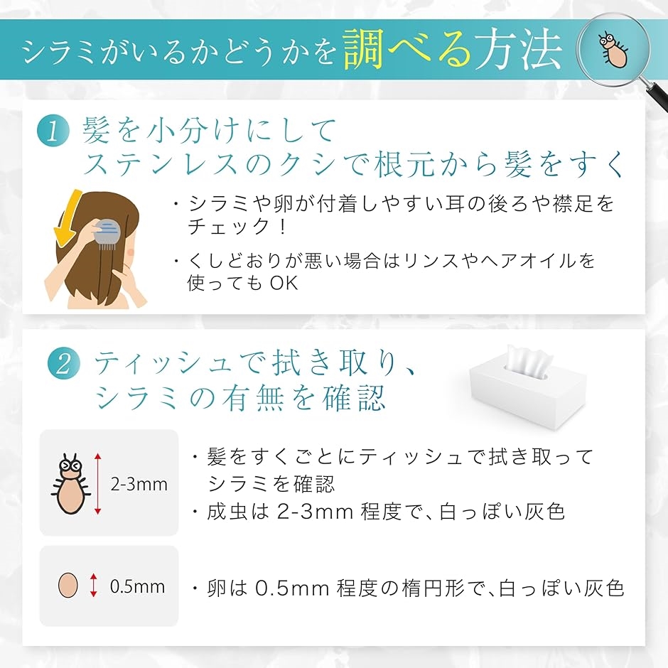 しらみ クシ5点セット アタマジラミ をサッと除去する専用の極細
