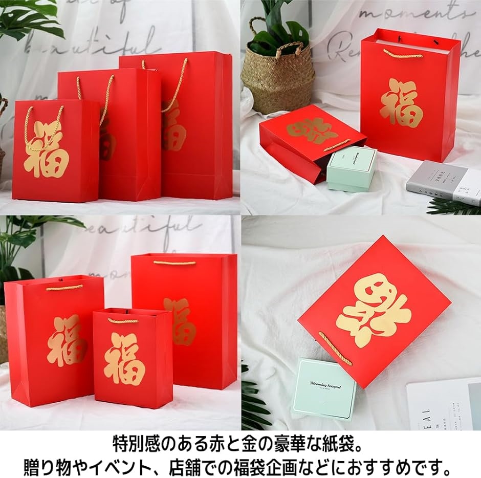 福袋の袋 紙袋 手提げ 赤い袋 12枚(大) : スピード発送 ホリック