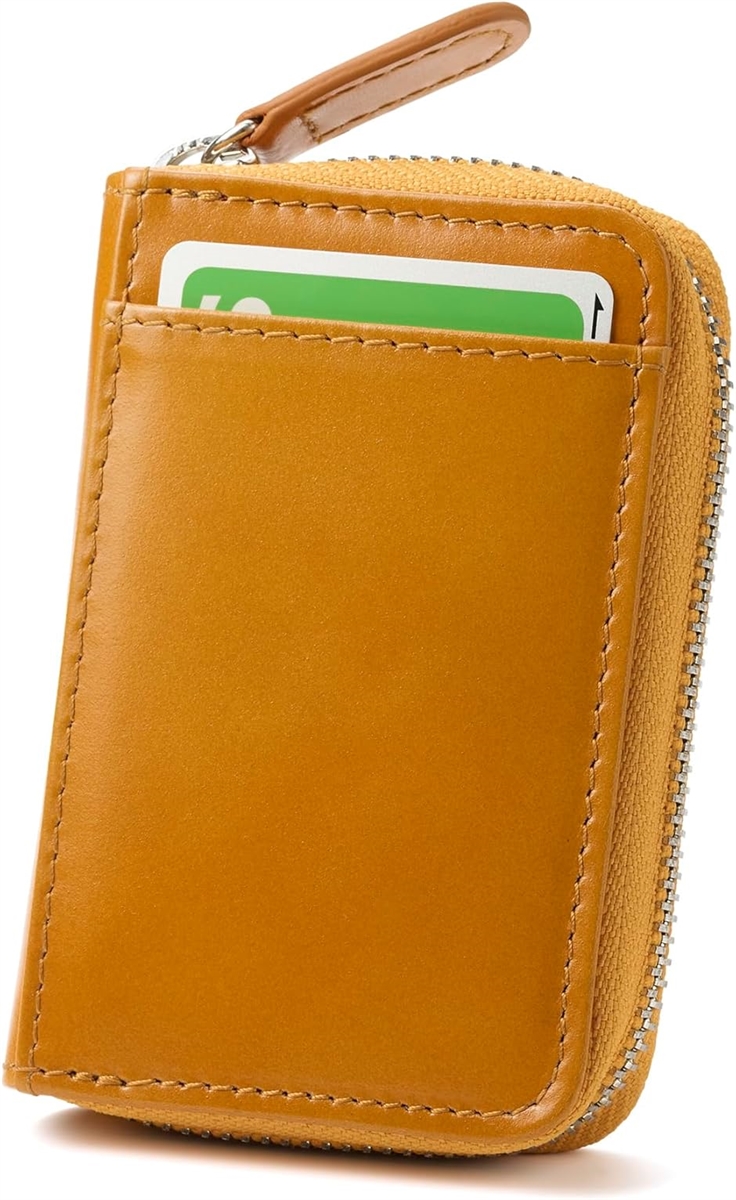 金運爆上げ】白蛇抜け殻×帯封×開運素材セット✨ 財布に入れる 縁起物