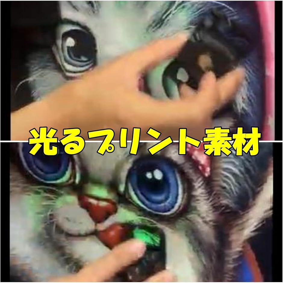 猫 半袖 Tシャツ 光る おもしろ ねこ バック プリント キャット