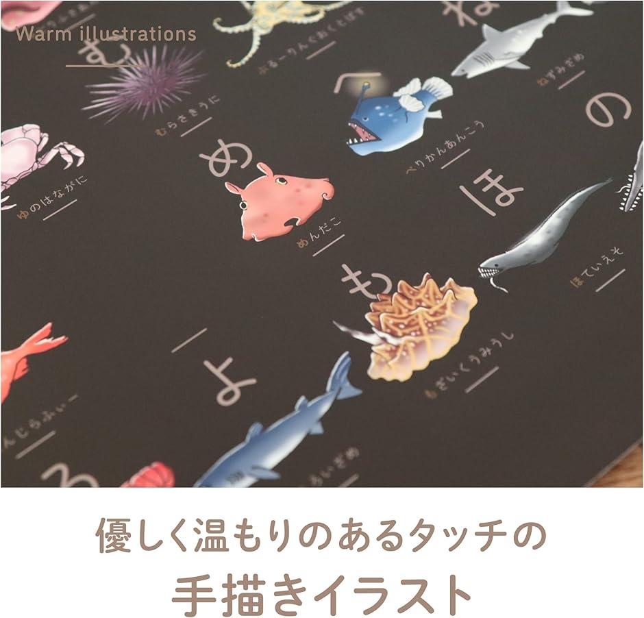 深海魚あいうえお 深海魚のひらがな表 50音表 マグネットハンガーなし