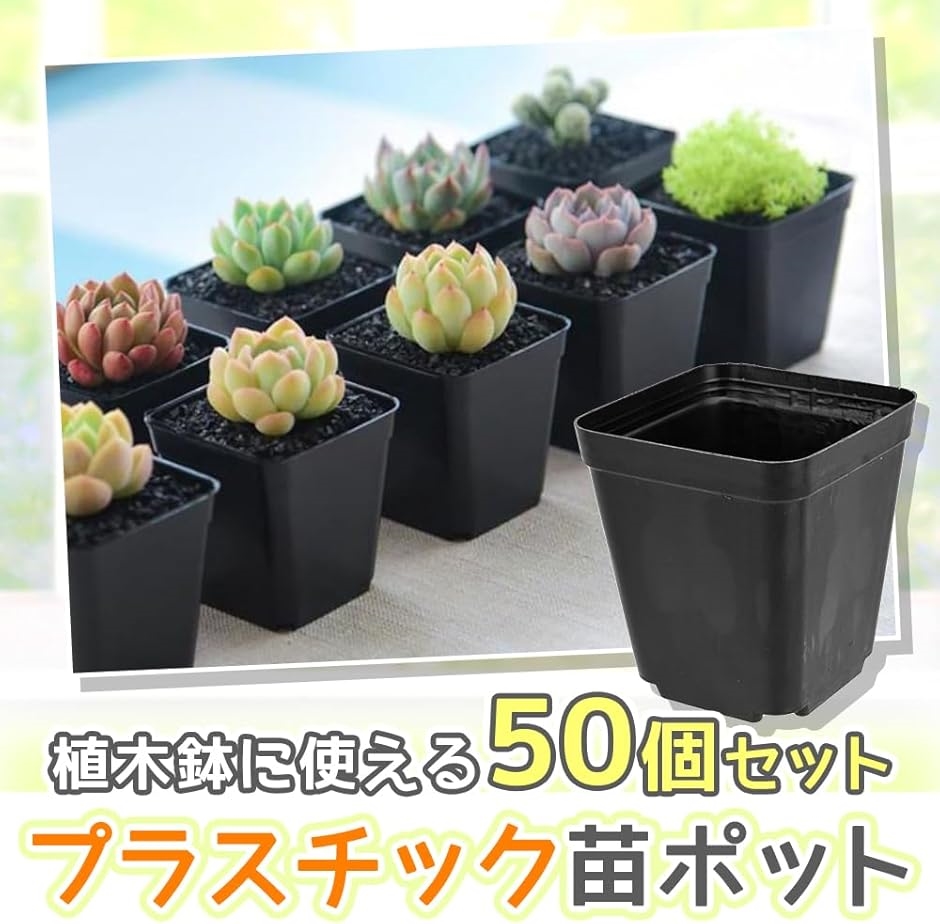 苗ポット 植木鉢 50個セット プラスチック 大容量 排水穴 通気性 育苗 家庭菜園 MDM(ブラック, 5.5cmx5.5cmx6cm) :  2b9480yx84 : スピード発送 ホリック - 通販 - Yahoo!ショッピング