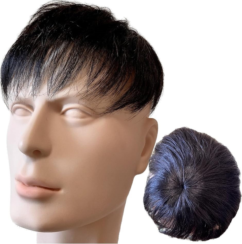 ウィッグ メンズ 人毛100% メンズウィッグ かつら 短め(ナチュラル