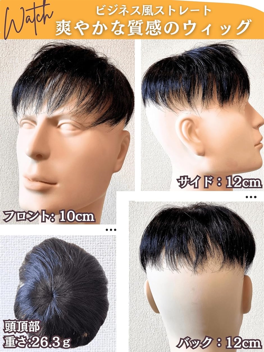 ウィッグ メンズ 人毛100% メンズウィッグ かつら 短め(ナチュラル