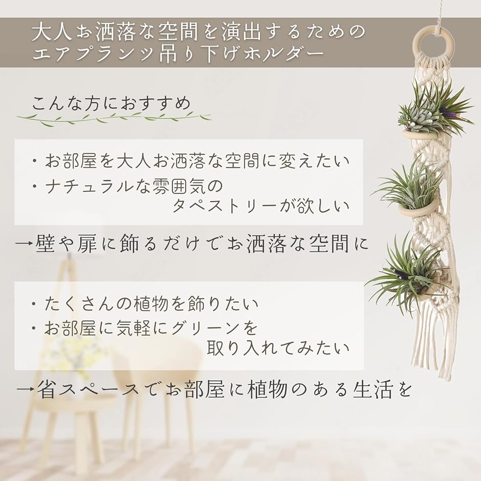 エアプランツ ホルダー スタンド チランジア ...の詳細画像2