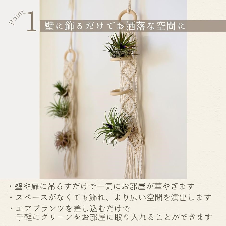 エアプランツ ホルダー スタンド チランジア ...の詳細画像3