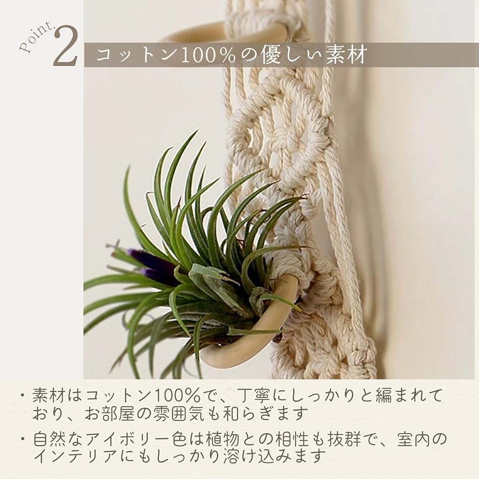 エアプランツ（観葉植物）の商品一覧 | 花、ガーデニング 通販 - Yahoo!ショッピング