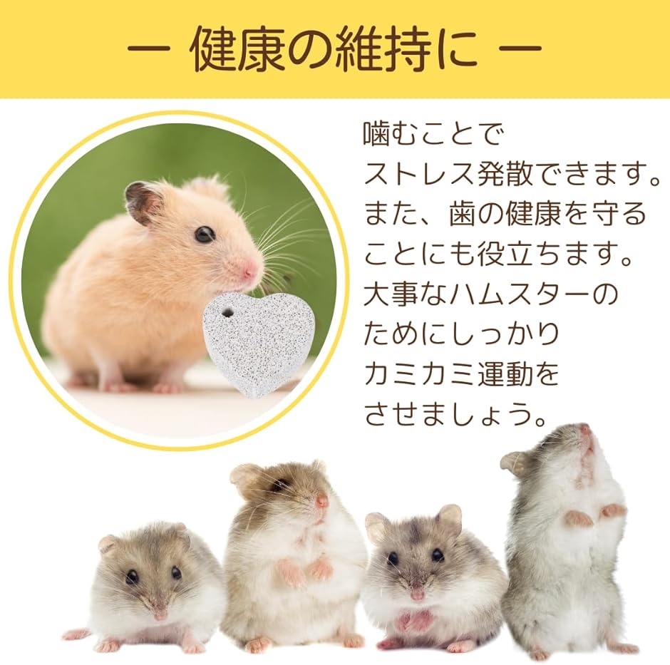 げっ歯類の臨床 チンチラ、シマリス、スナネズミ、ハムスタ-、マウス  /ＥＤＵＷＡＲＤ　Ｐｒｅｓｓ/Ｖ．Ｃ．Ｇ．リチャ-ドソン（単行本） Amazon.co.jp: LKCCTK チンチラ 噛む石 歯ぎしり石 長方形 12個