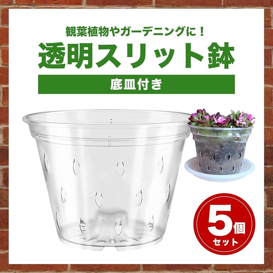 穴空き 植木鉢 5個セット 透明 プラスチック スリット鉢 底皿