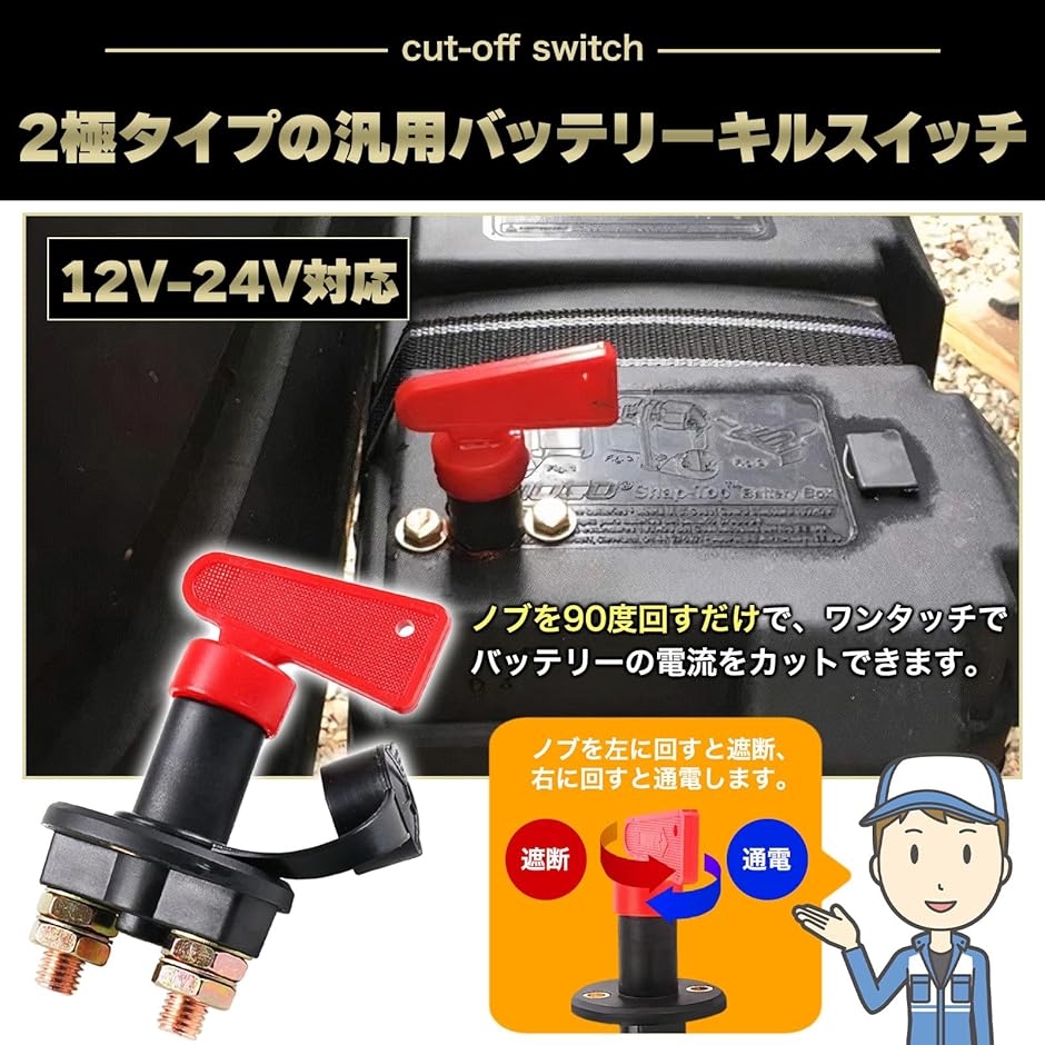 正規代理店 LFX09L2-BS12 SHORAI(ショーライ) リチウム