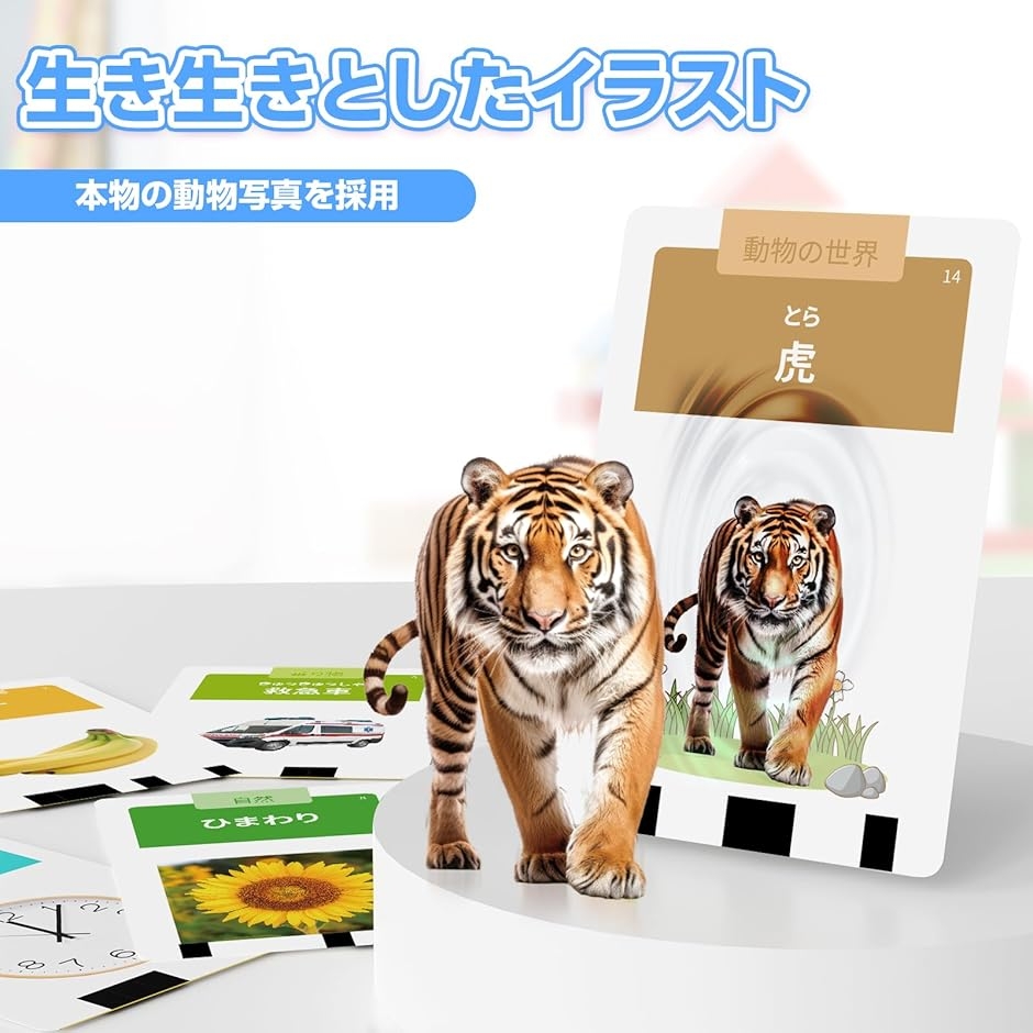 フラッシュカード 日本語 ひらがな付き ネイティブ発音 リアル写真