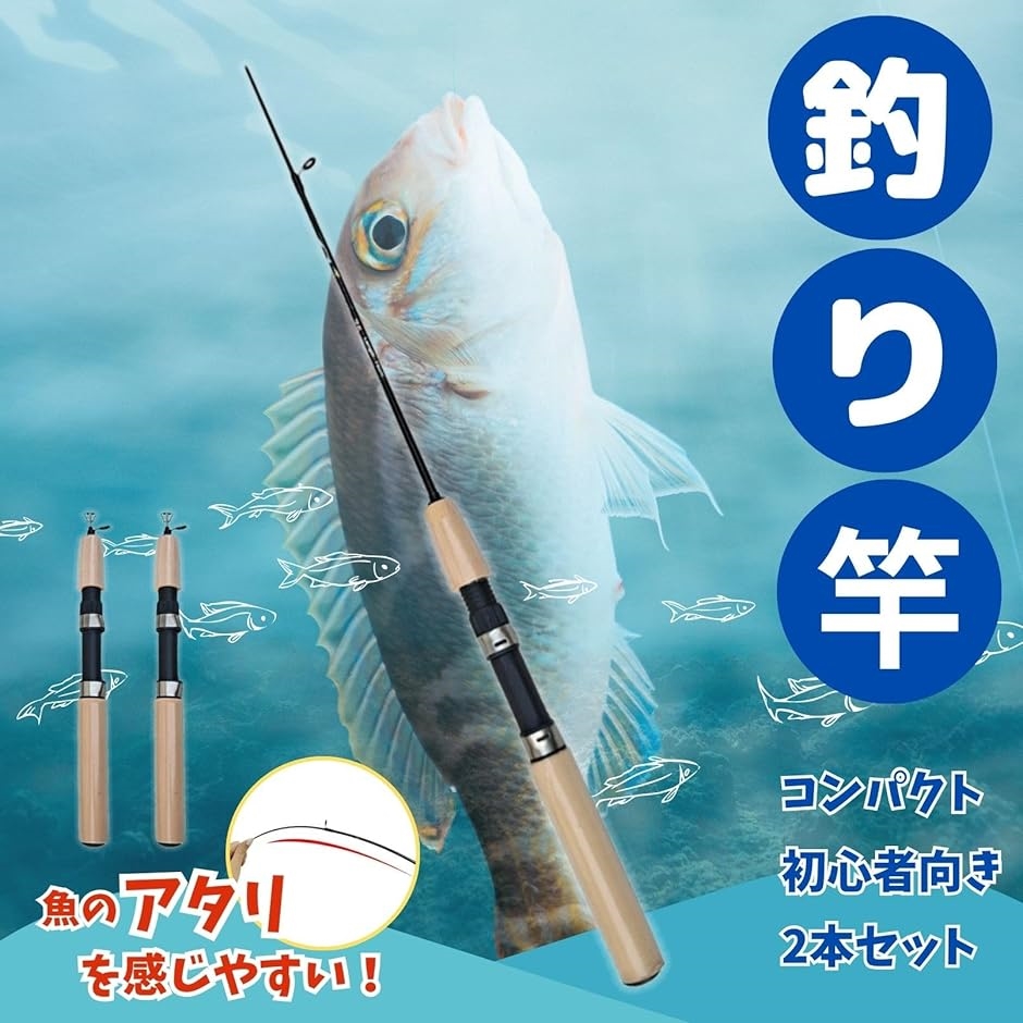 釣り竿 穴釣り コンパクト ロッド 振り出し 渓流竿 投げ釣り