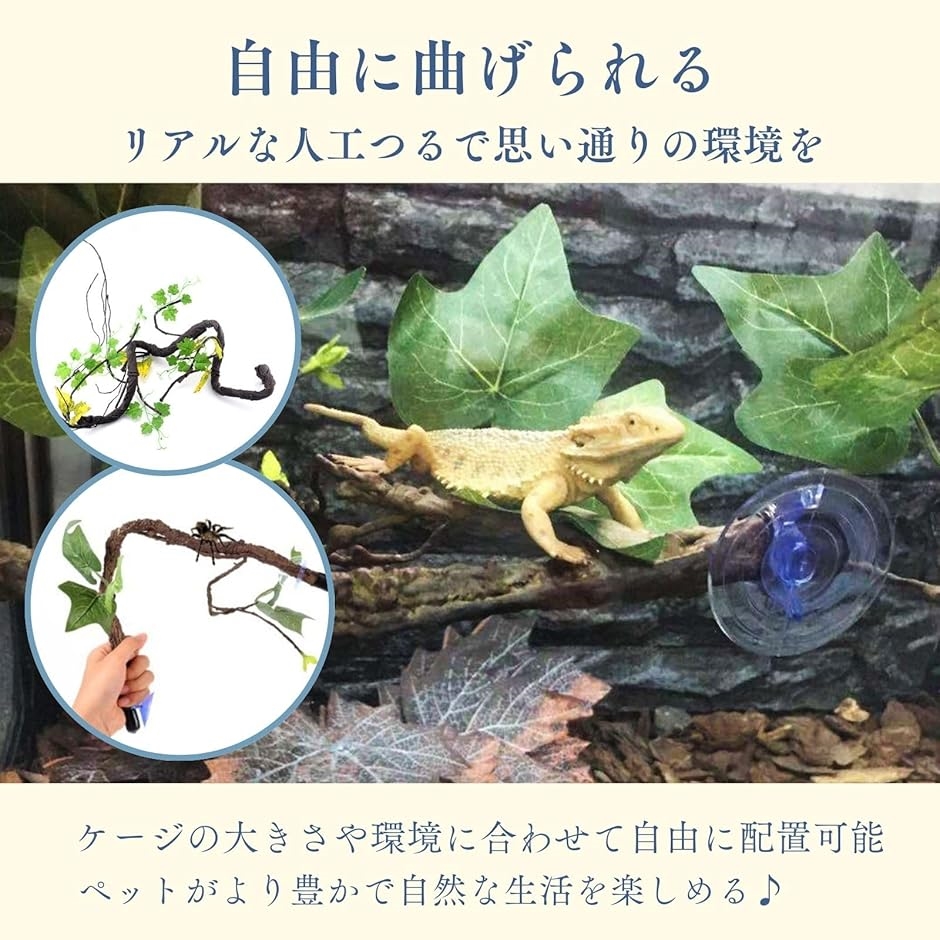 カメレオン 飼育セットの商品一覧 通販 - Yahoo!ショッピング
