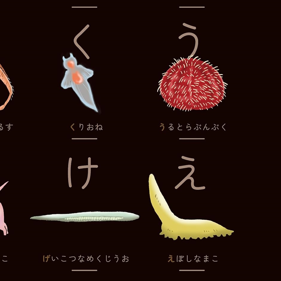 夜の深海魚ひらがな表 あいうえお表 こだわりあいうえおシリーズ 深海