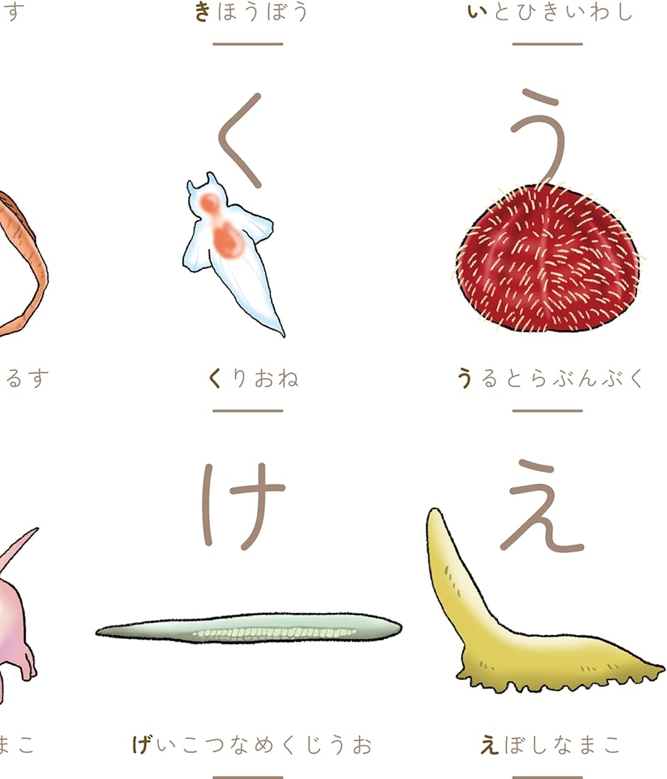深海魚ひらがな表 あいうえお表 こだわりあいうえおシリーズ 深海魚