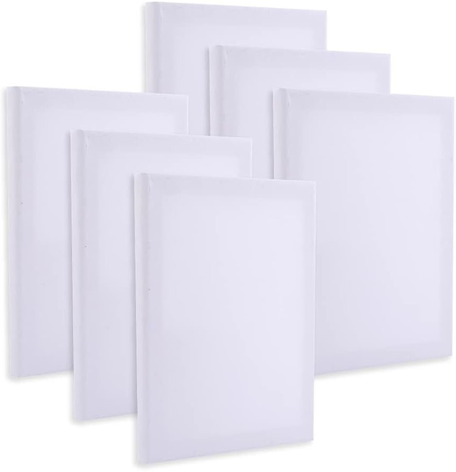 ミニキャンバス 画材 絵画 水彩画 油絵 6個 セット 30cmx40cm