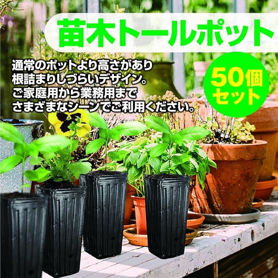 苗ポット 育苗ポット 深型 ロングポット ビニール 苗木プランター