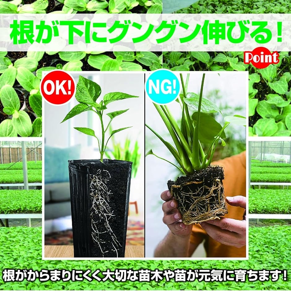 苗ポット 育苗ポット 深型 ロングポット ビニール 苗木プランター