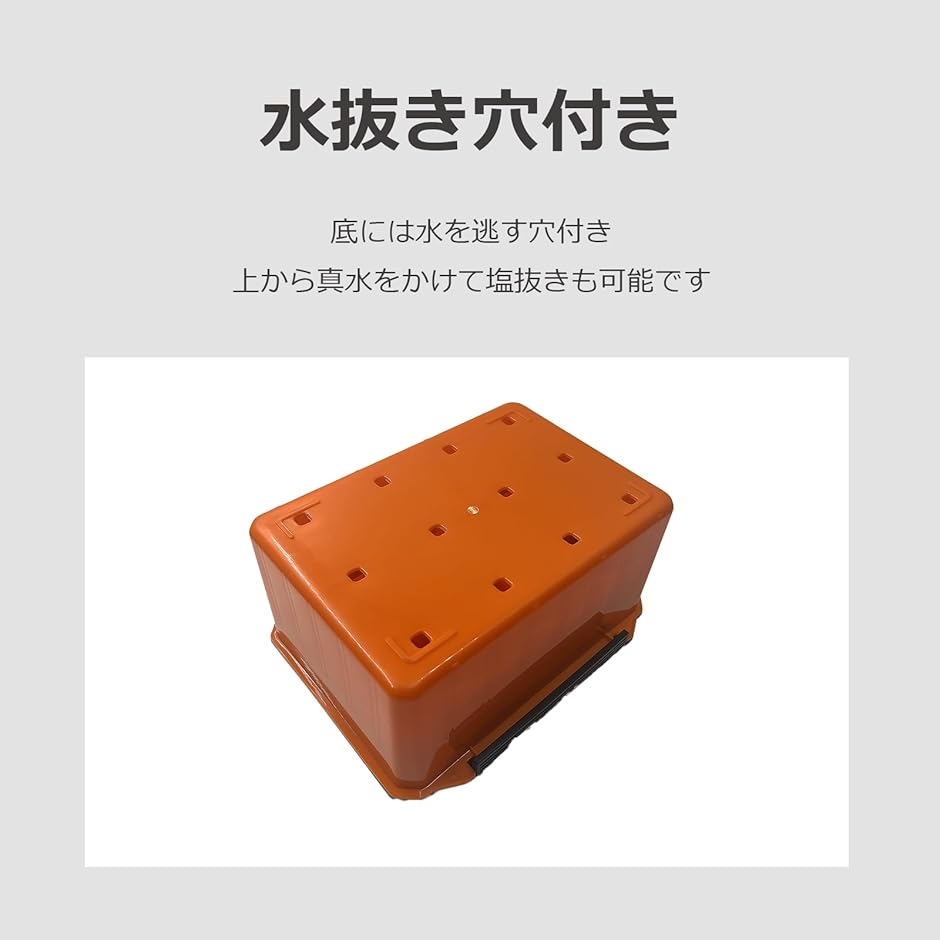 エギストッカー コンパクト 秋用 3号まで スクイッドストッカー 餌木