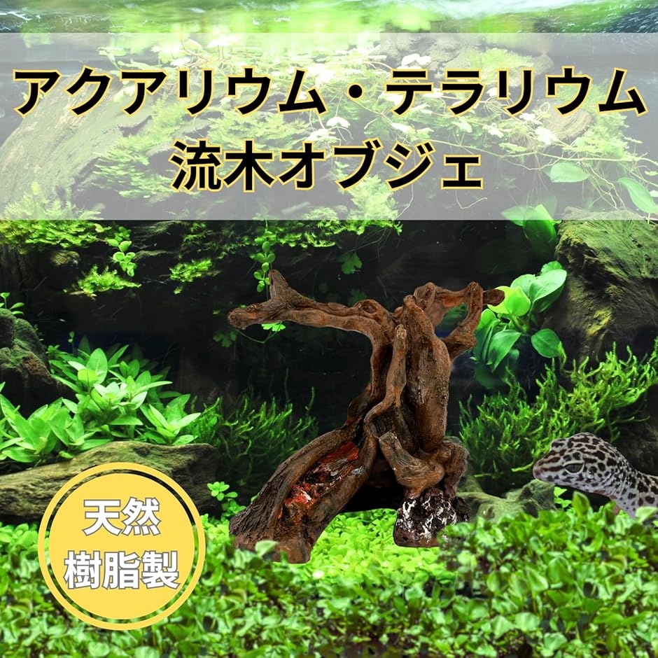 爬虫類 流木 登り木 テラリウム アクアテラリウム 水槽 装飾 ヤモリ