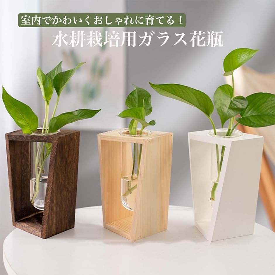 水耕栽培 ポット ガラス かわいい おしゃれ インテリア 室内 屋内 容器