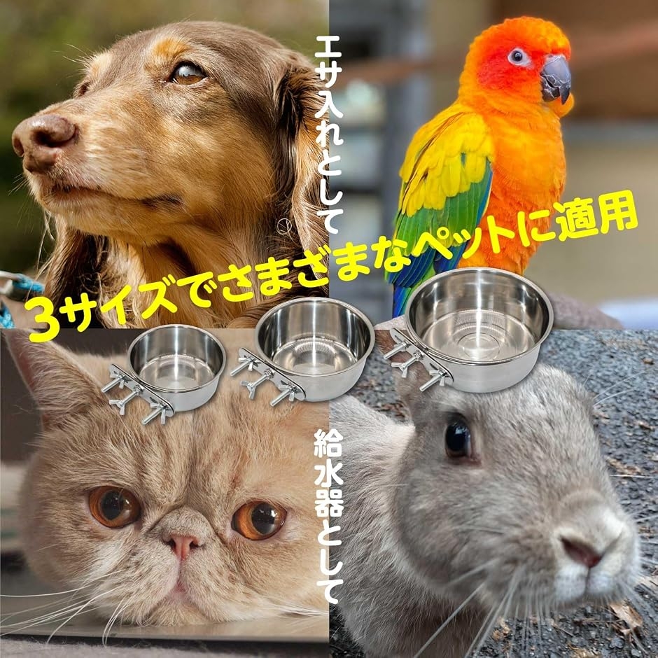 ペット 犬 餌入れ フードボウル ステンレス ...の詳細画像5