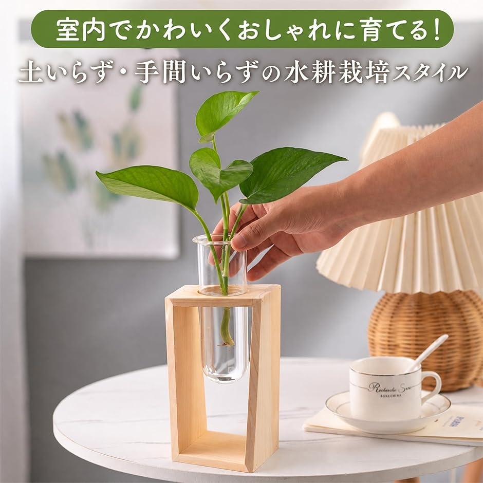 水耕栽培植物花瓶、ホワイトセラミック花瓶、展示オフィススタディルームファッション花瓶、プレミアムデスクトップミニ花瓶(サイズ:12× Amazon｜フラワーベース・花器 現代のシンプルなセラミック花瓶の花ドライフラワー水耕デスクトップデコレーションフラワーアレンジメントの3枚 花瓶  (色 : 緑, Size : One size)｜ディスプレイ収納・花器 オンライン通販 