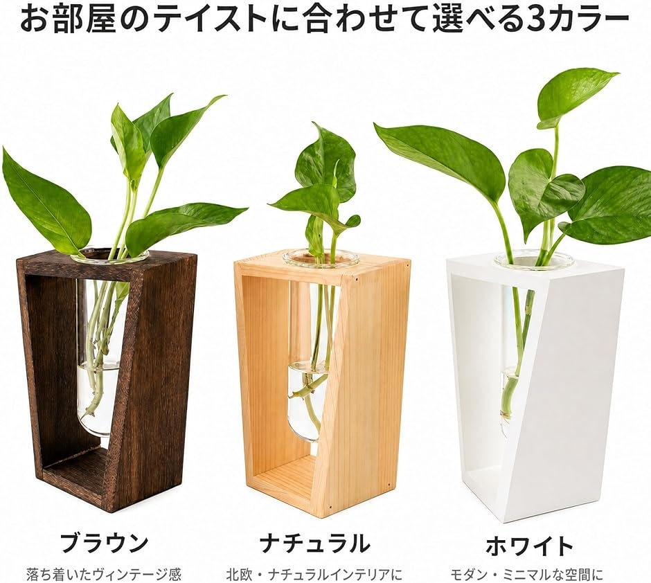 水耕栽培 ポット ガラス かわいい おしゃれ インテリア 室内 屋内 容器