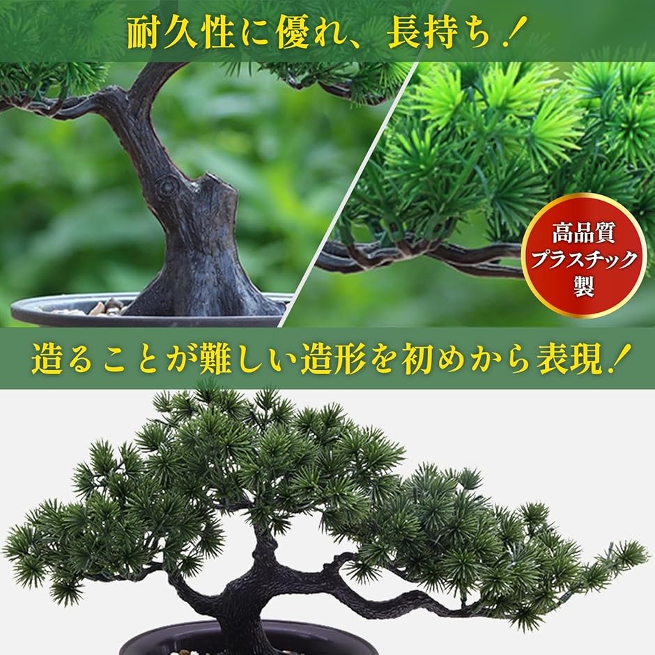 松のおすすめ人気商品一覧 通販 - Yahoo!ショッピング