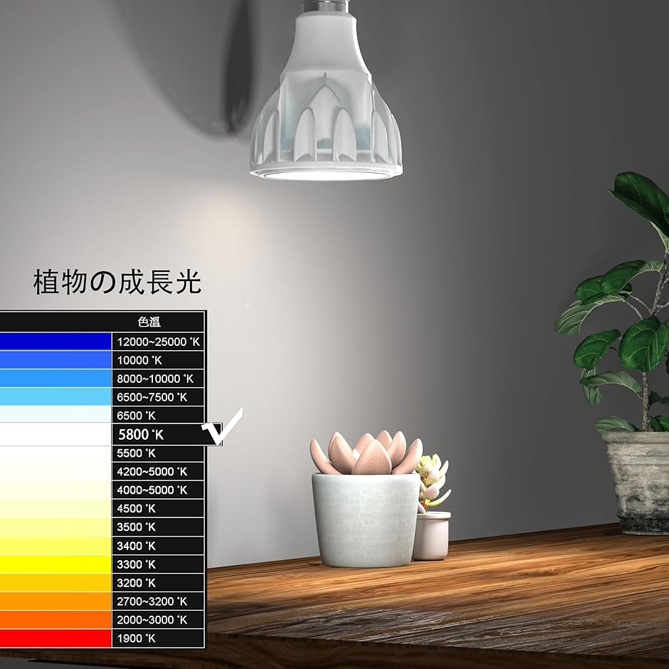 アマテラス 植物育成ライト 10W 5800K 3個 白色 太陽光 フル アマテラス 植物育成ライト 10W 5800K 3個 白色 太陽光 フル