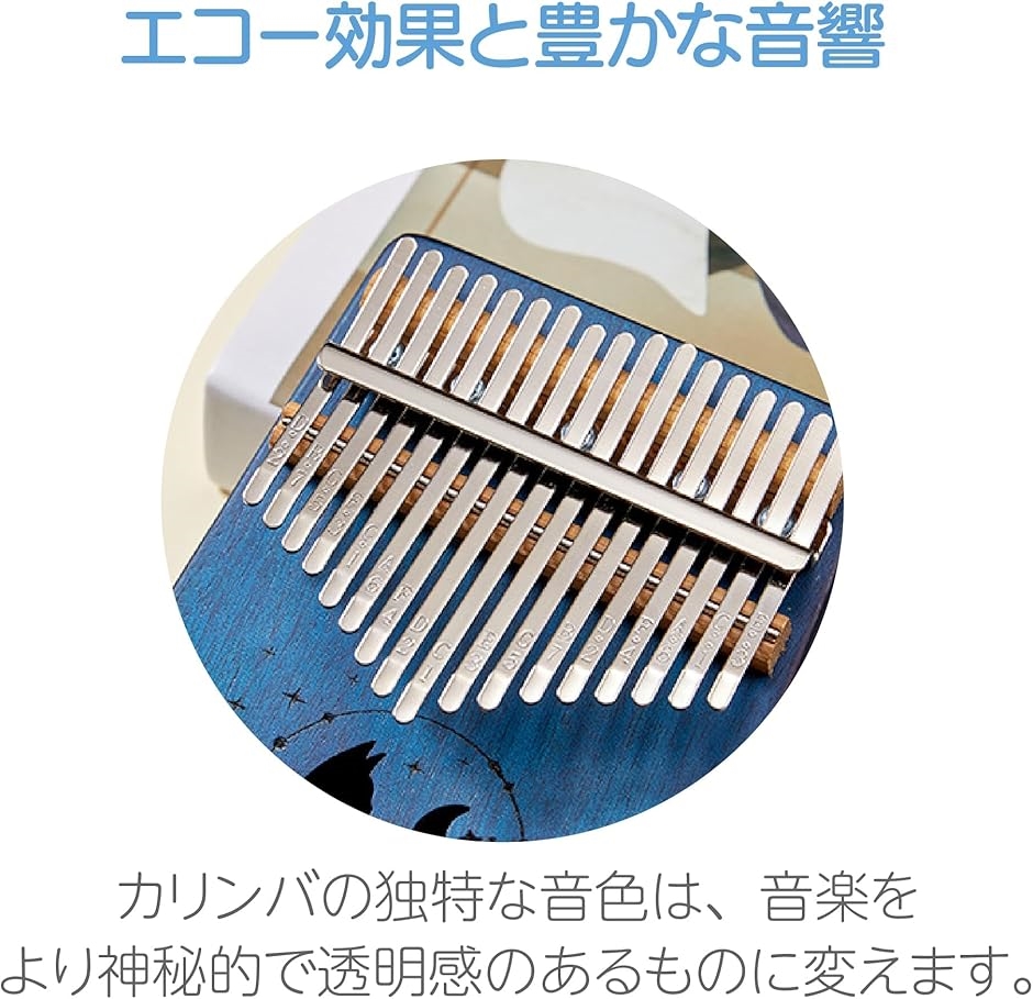 スティールパン 楽器（楽器、手芸、コレクション）のおすすめ人気商品
