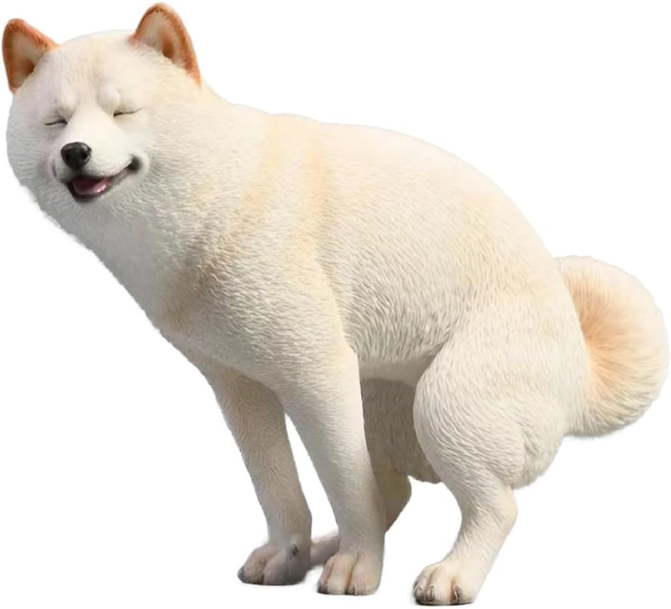 Č VoCk  m  A tBMA т̎Č(т̎Č,  11cmx5cmx8cm)