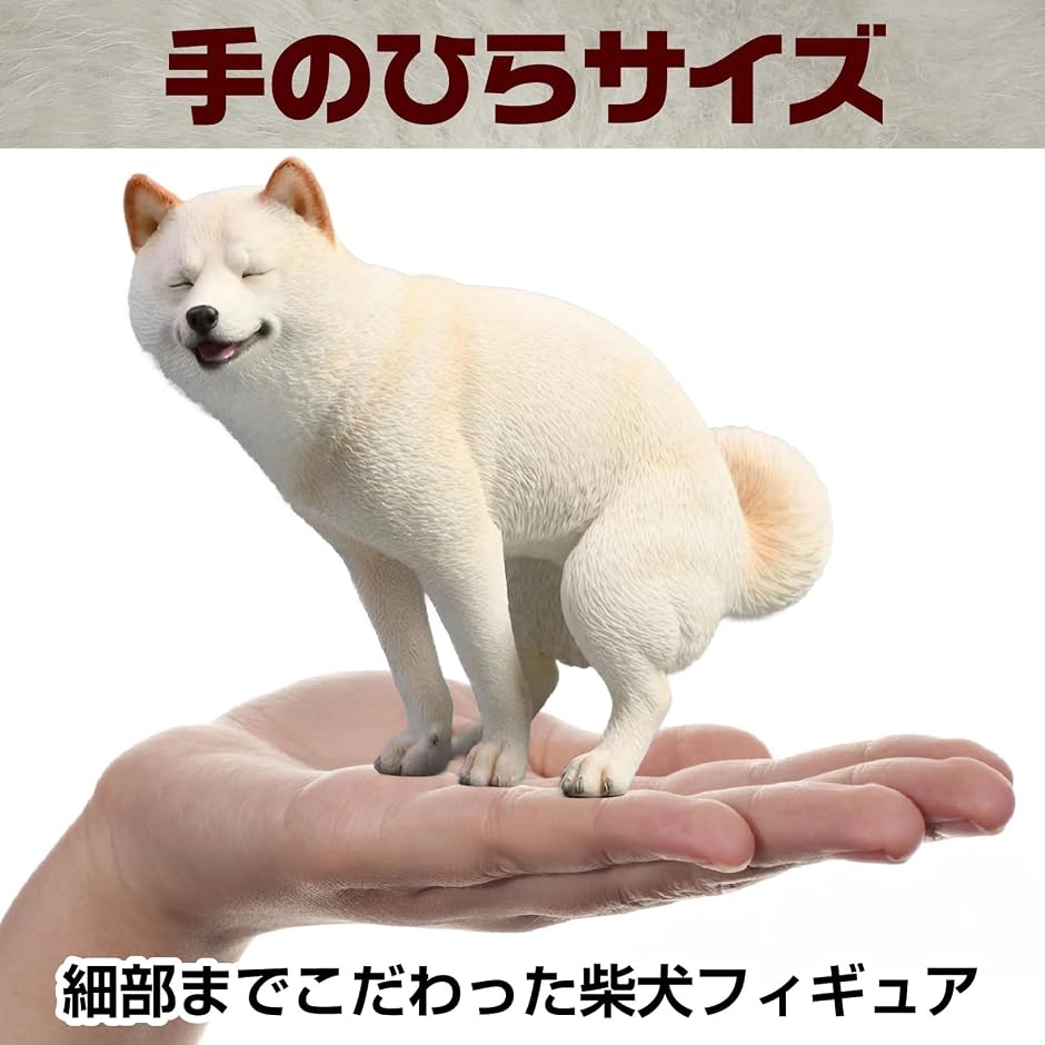柴犬 シバイヌ 可愛い 滑稽 動物 リアル フィギュア 白毛の柴犬 MDM