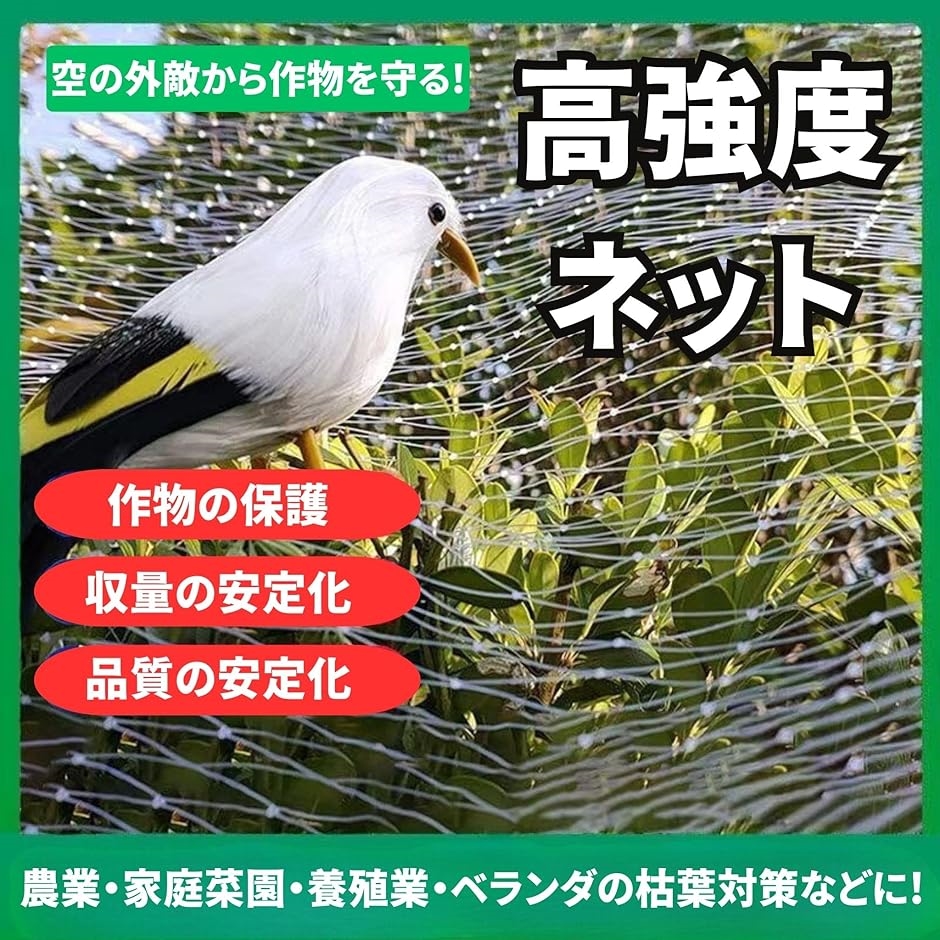 防鳥ネット 鳥よけネット ムクドリ対策 幅5mx長さ10m 結束バンド15本 