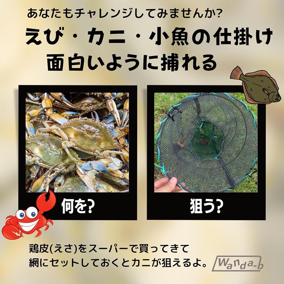 カニ捕り名人捕獲あみ 網 仕掛け 罠 えび 海老 蟹 エビ かに 魚 ザリガニ 漁具 魚捕り網 魚網 折り畳み式( グリーン,  普通)｜horikku｜02