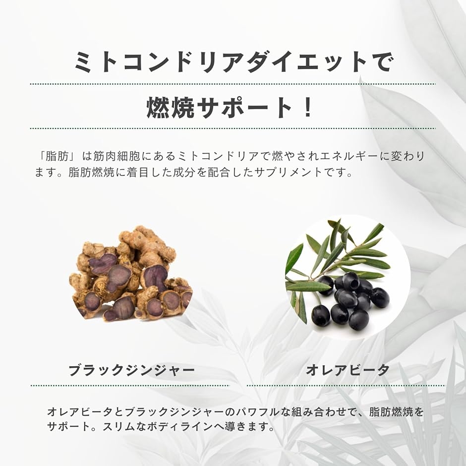 正規品株式会社ＡＸＩＳオンラインショップ バーニング180粒入 | ブランド登録なし | 02