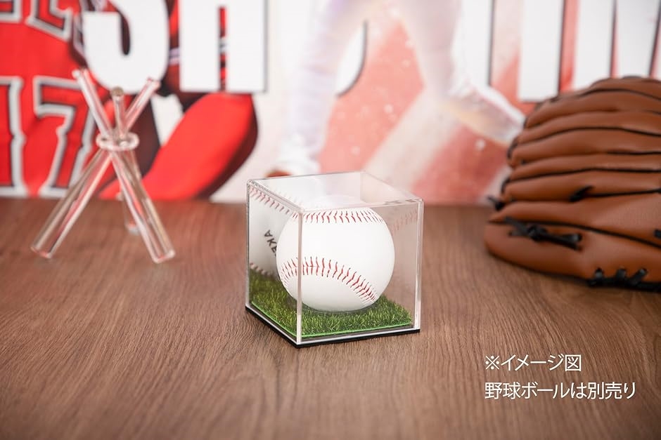 野球ボールケース サインボールケース ミラー付き 芝生付き 野球用