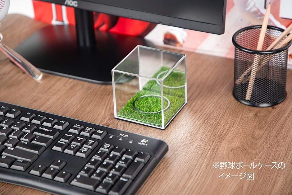 野球ボールケース サインボールケース ミラー付き 芝生付き 野球用