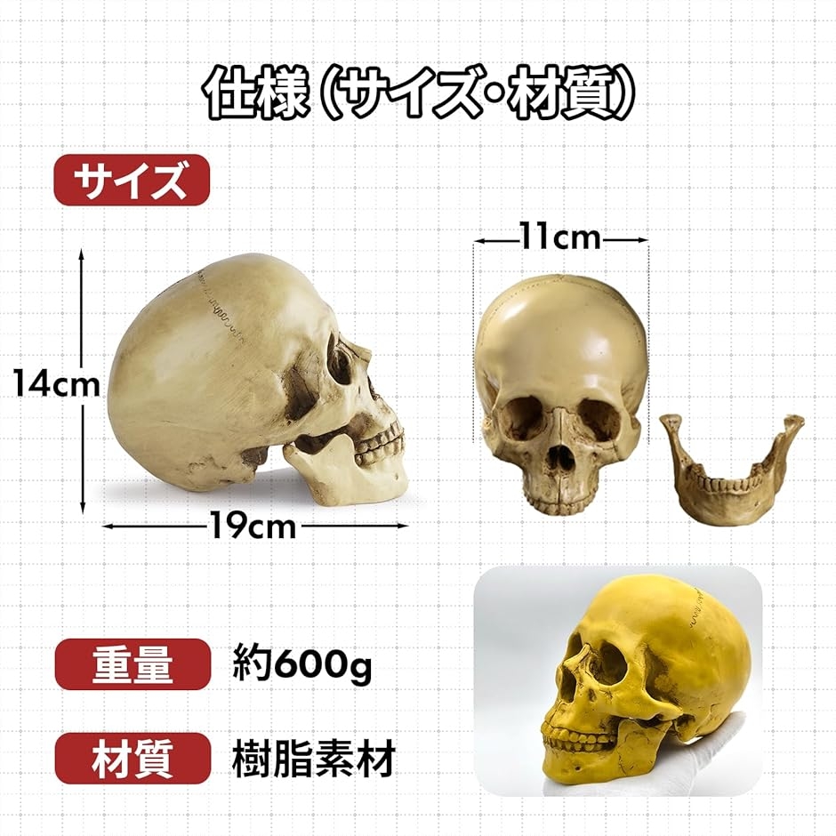 ガイコツ おもちゃ フィギュア ハロウィン 骸骨 ホラー インテリア