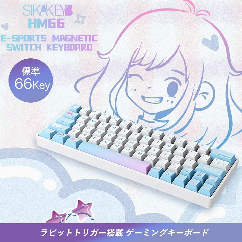 Castle HM66 ゲーミングキーボード ラピッドトリガー搭載 US配列 有線