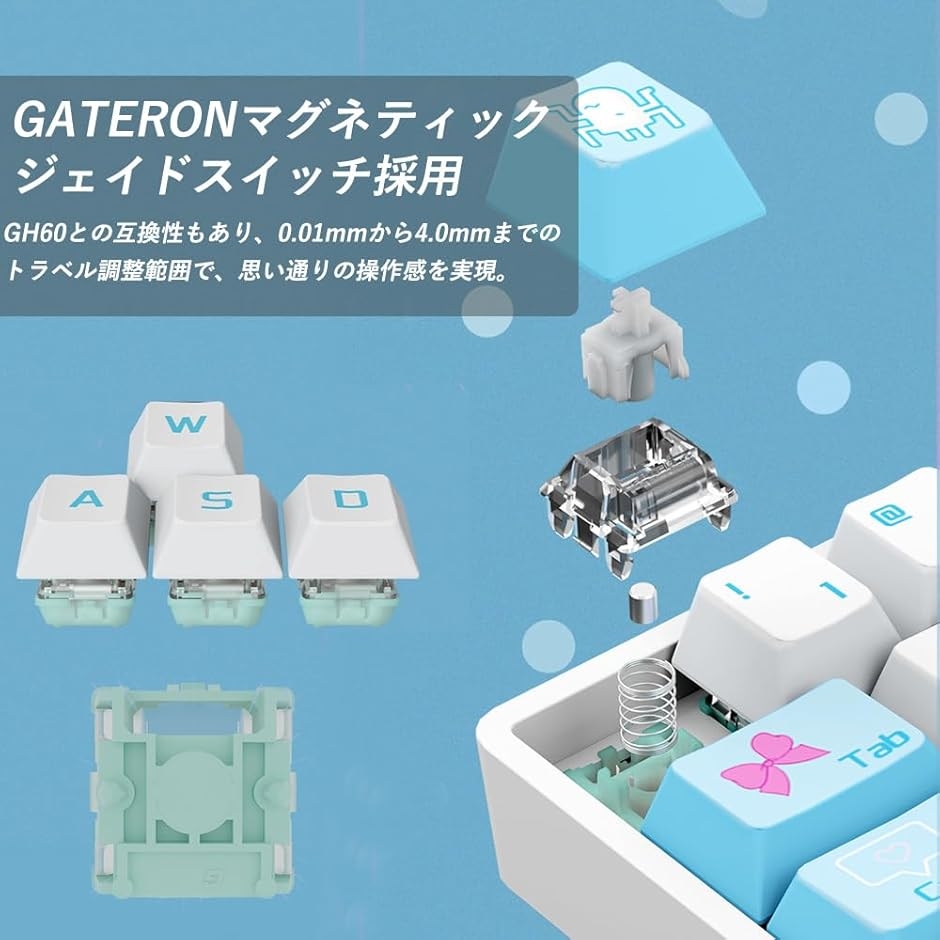 互換品】 Castle HM66 ゲーミングキーボード ラピッドトリガー搭載 US